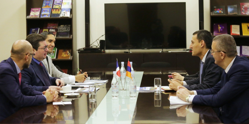 Արթուր Մարտիրոսյանն ընդունել է ՀՀ-ում Դոմինիկյան Հանրապետության նորանշանակ դեսպան Հանս Դաննենբերգ Կաստելյանոսին