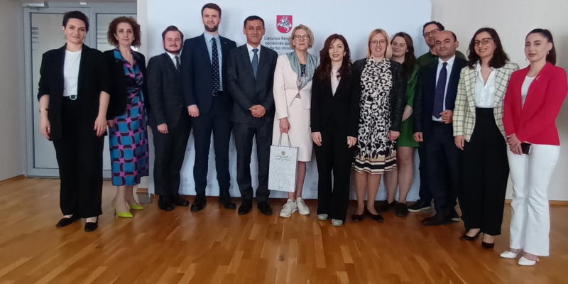 Development issues of Armenian-Lithuanian relations in the field of youth are discussed