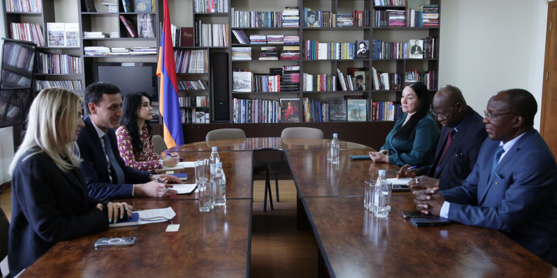 ԿԳՄՍ նախարարի տեղակալ Արթուր Մարտիրոսյանը հանդիպել է Գվինեայի դեսպանի հետ