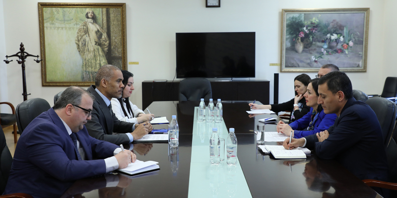 Prospects of cooperation are discussed with the Head of the Council of Europe Office in Armenia