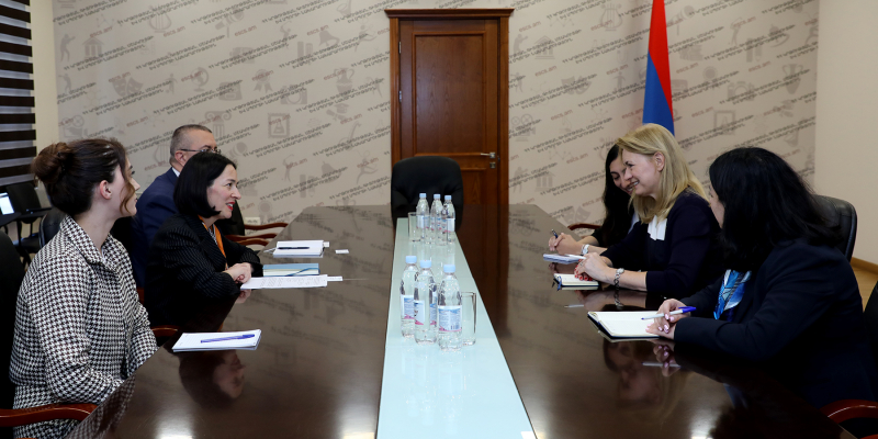 Zhanna Andreasyan receives the newly appointed Ambassador of the Kingdom of the Netherlands to Armenia