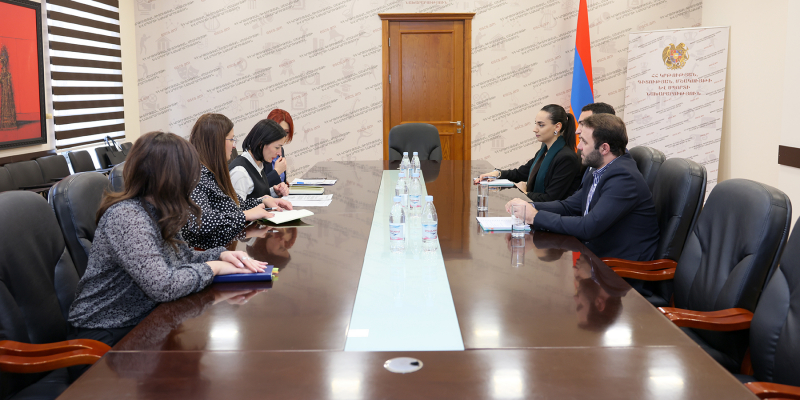 Prospects of cooperation are discussed with AMAA Armenia
