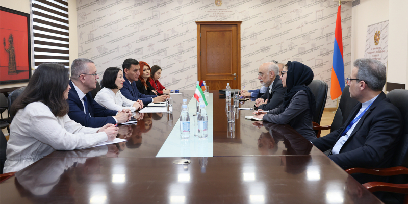 Քննարկվել են Հայաստանում իրանագիտության զարգացմանը վերաբերող հարցեր