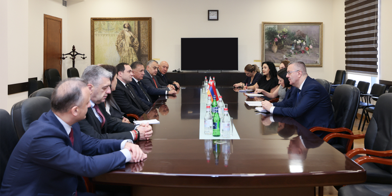Վրաստանի խորհրդարանի մշակույթի հանձնաժողովի անդամների հետ քննարկվել են համագործակցության խորացմանը վերաբերող հարցեր
