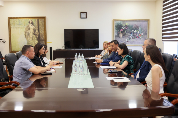 Քննարկվել են ՄԱԿ-ի բնակչության հիմնադրամի հետ համագործակցության ընդլայնման հնարավորությունները