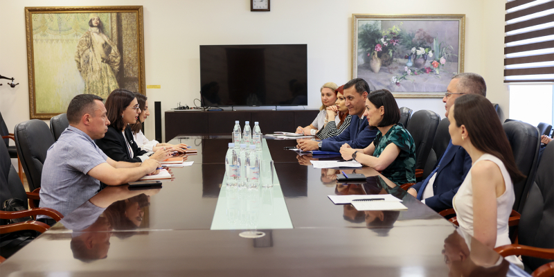 Քննարկվել են ՄԱԿ-ի բնակչության հիմնադրամի հետ համագործակցության ընդլայնման հնարավորությունները