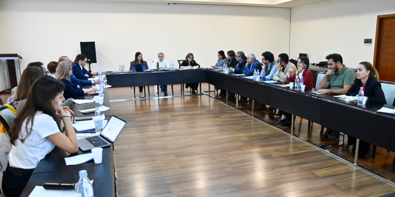 «Արհեստական բանականության կիրառումը դասավանդման գործընթացում» թեմայով քննարկում