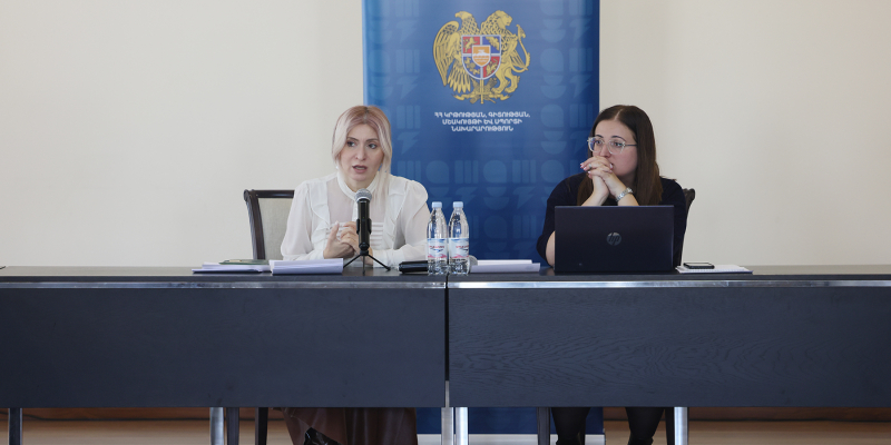 Քննարկվել են &laquo;Արհեստական բանականությունը՝ ուսուցչի օգնական գործիք&raquo; բազային դասընթացի ծրագրին վերաբերող հարցեր