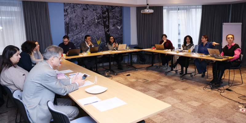 Կարևորելով երիտասարդների ակտիվ մասնակցությունը. հանդիպում գործընկերների հետ