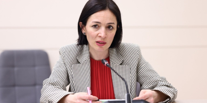 Մարդու իրավունքների հանձնաժողովում քննարկվել է մշակութային և կրթական իրավունքներին առնչվող բաղադրիչը