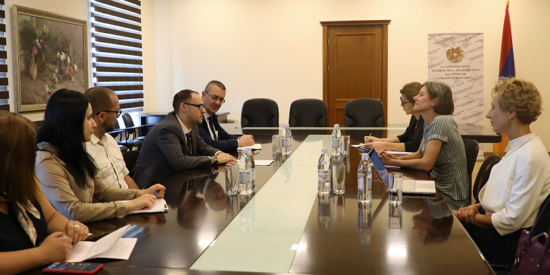 ESCS Deputy Minister Alfred Kocharyan receives the delegation of the Council of Europe