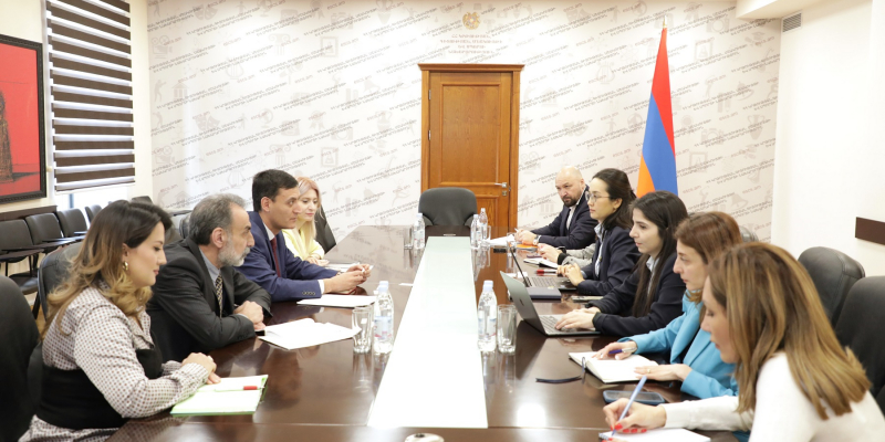 Prospects of cooperation are discussed with representatives of the Asian Development Bank
